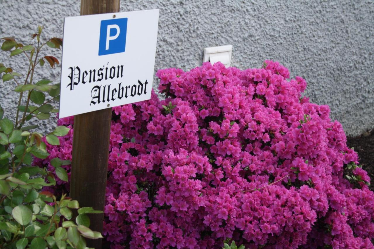 Pension / Ferienwohnung Allebrodt Lennestadt Exteriér fotografie