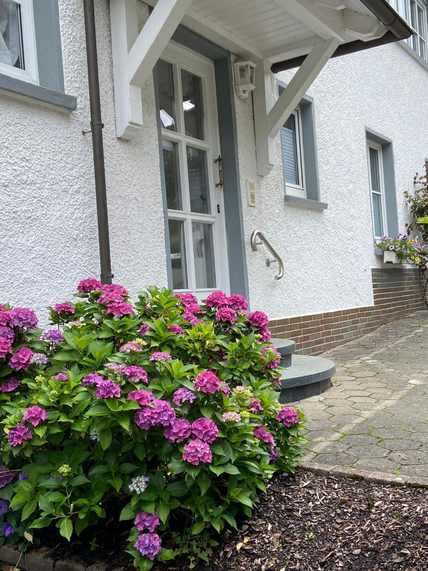 Pension / Ferienwohnung Allebrodt Lennestadt Exteriér fotografie